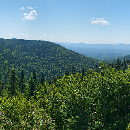 Mountains