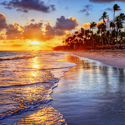 Nom De Code Wp Soleil Des Antilles